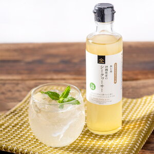 ސ|@ꌧỸV[N[T[@260mly2{߁z