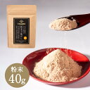 粉末万能だし　40g【風味豊かな万能だし粉末タイプ】