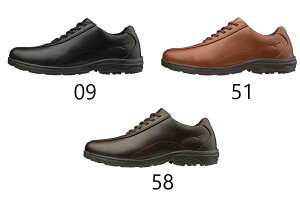 ݌Ɍ̂@~YmyMIZUNOz@Y@EH[LOV[Y@LD40V@@B1GC1917