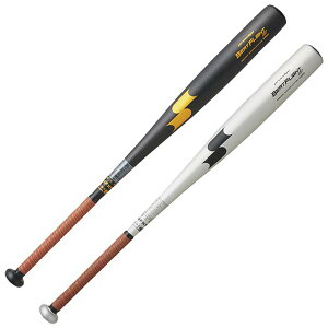 SSKyGXGXPCz@dpobg@r[gtCg STyBEAT FLIGHT STzZ싅VΉ@EBB1100