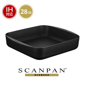 y{K㗝XzXLpTechnIQ IH XNGA 28×28cm| XL p SCANPAN  Lb`ObY IHΉ ih I[uΉ A~ [Xgp I[up lp pM I[u pfoat