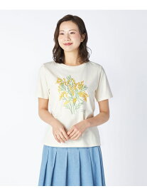 40/2天竺カットソー KEITH キース トップス カットソー・Tシャツ グリーン ホワイト【送料無料】[Rakuten Fashion]