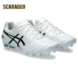 �A�V�b�N�X DS LIGHT PRO 1103a095-101 asics