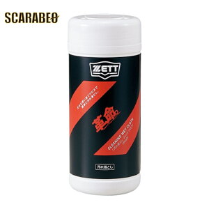 싅 [bg eiX Ou XpCN ꗎƂ 30 v ZOK409 ZETT 싅pi