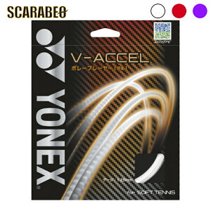 lbNX ejXKbg V-ACCEL V-ANZ SGVA \tgejX XgO Kbg  YONEX