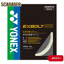 楽天市場】エクスボルト 200mの通販 