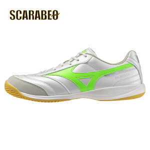 ~Ym A SALA PRO IN q1ga251337 tbgTV[Y C tbgT XpCN  O y Obv  Sn lCLO qp lp