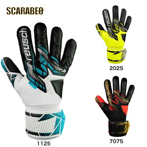 reusch CV AgNgVo[ 5560215 L[pO[uTbJ[ L[pO[u TbJ[p ϋv v SҌ WjA WjAp lp z[h L[O