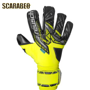 reusch CV AgNg S[h X G{[V 5570964-2025 L[pO[uTbJ[ L[pO[u TbJ[p ϋv v SҌ WjA WjAp lp z[