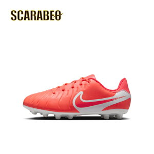 iCL WjA eBG| WFh 10 AJf~[ HG zbgo×zCg dv4349-800 TbJ[XpCN y tBbg y lH VR Y TbJ[XpCNlC X|[c Ap