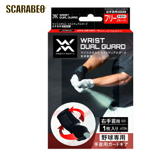 yEpz}WRX|g 싅 EpT|[^[ XgfAK[h 398604