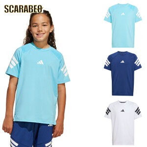 yyVX[p[SALEzAfB_X TVc  WjA I[X|[c NXT TVc AfB_XAp AfB_XEFA X|[cEFA g[jOEFA AfB_X TVc f