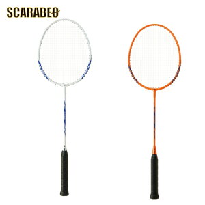 ���l�b�N�X B4000. B4000G ���W���[�p ���l�b�N�X �o�h�~���g�����P�b�g b4000g