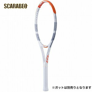 o{(Babolat) ejXPbg G{ XgCN EVO STRIKE dejX ejXPbg ejXKbg ejX lC V Kp p 101515-100