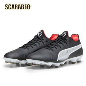 y݌ɏZ[zv[} LO AeBbg HG/AG Z[   i  ݌Ɍ ҏ lCi  107564-01