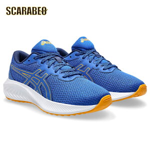 AVbNX GEL-EXCITE 10 GS jO tBbglX ^ V[Y KȗSn g[jO ϋv C  1014a298-409