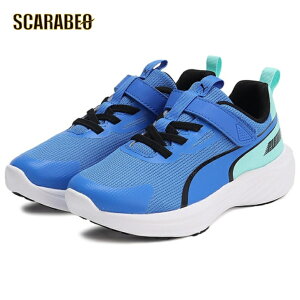 y݌ɏZ[zv[} WjA Xs[h X^[ V5 Z[   i  ݌Ɍ ҏ lCi  309935-06