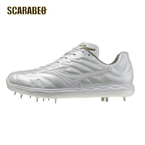 ~Ymv Xs[h{v 싅 XpCN  zCg  y 2E 25.0`30.0cm 11GM2420 11gm2505