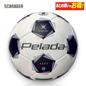 �y���[�_5000�ŗp�i5�����j ��6����y���[�_ ���w�� ���w�� ��� �N���u�`�[�� �w�Z�p �y���[�_ �T�b�J�[�{�[�� Molten �����p ���K�p JFA�F�� FIFA���F ���i�� �ϋv�� �������� f5k5000