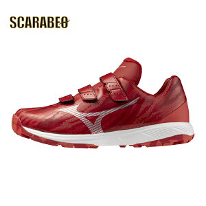 ~Ym Cg{g[i[ CR(싅^\tg{[)[jZbNX] 11GT2425 #V[Y 2024NH~ #V[Y 싅 #\tg{[ V[Y #_炩 싅 #V[Y Cg{ #V[Y g[