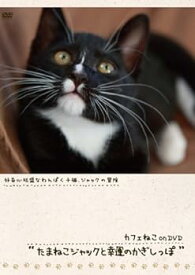 【中古】カフェねこonDVD たまねこジャックと幸運のかぎしっぽ