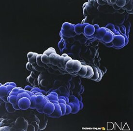 【中古】DNA (ALBUM+Blu-ray Disc)
