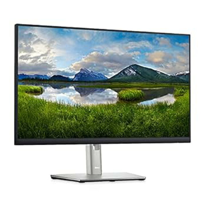 中古】Dell Technologies P2422HE みごと プロフェッショナルシリーズ 