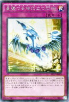 楽天市場】遊戯王 プレミアムパック17の通販