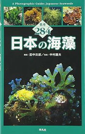 【中古】日本の海藻: 基本284