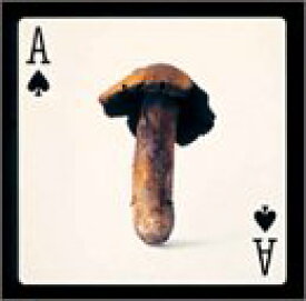 【中古】スペードのエース [DVD]