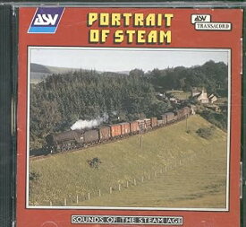 【中古】Portrait of Steam