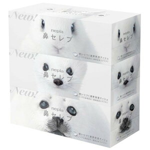 lsA @Zu eBbV (400(200g)×3) pi ÂZێ eBbV