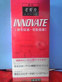 楽天市場 毛髪力 イノベートの通販
