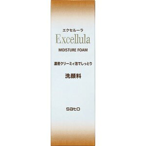 GNZ[ CX`AtH[ (120g) bϕi 痿