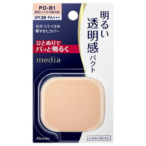 Jl{E fBA uCgAbvpNg PO-B1 邢\tgȔ̐F (11.5g) t@f[V