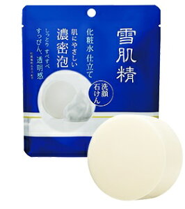 yz@R[Z[ ᔧ@ϐd ΂ (100g) P[Xt@΂