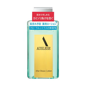  AEX[[ At^[VF[u[VNA@@(110mL)