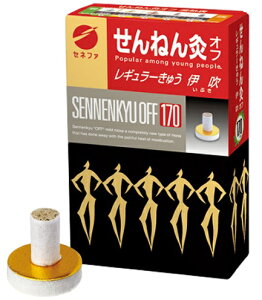 yyz Zlt@ ˂ It M[イ ɐ (170_)