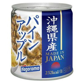 【在庫処分】 賞味期限：2025年12月20日 沖縄県産 パインアップル (295g) 缶詰