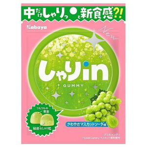 y݌ɏz ܖF2025N12 Jo inO~ }XJbg\[_ (52g) َq