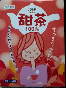 { [ 100i2g×24jĂ񒃁@o