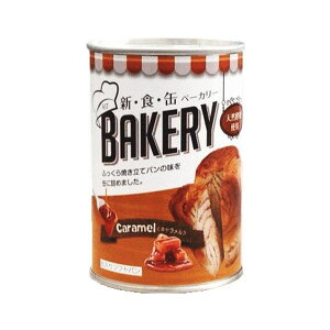 yastz AXg VHʃx[J[ L (100g) VRygp ~ hЗp ۑ\p