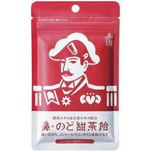 森下仁丹 鼻・のど甜茶飴 (38g) のど飴