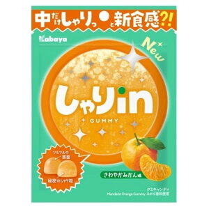 ynkz ܖF2026N331 Jo inO~ ݂ (52g) َq