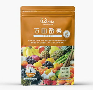 yAz cyf GINGER WW[ y[Xgij^Cv 77.5g(2.5g×31)