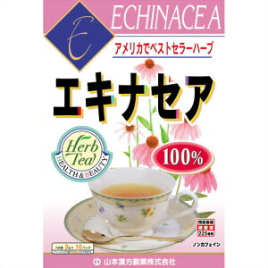 [A] R{ GLiZA 100 eB[obO (3g×10) n[ueB[