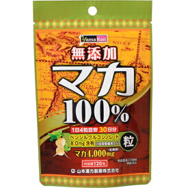 [A] 山本漢方 マカ 粒 100% (120粒) サプリメント