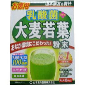 [A] 山本漢方 お徳用 乳酸菌 大麦若葉 ステックタイプ (4g×30包) 青汁