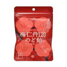 【y】 【森下仁丹】 梅仁丹 のど飴 約17粒(60g)