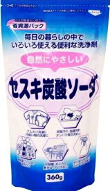 楽天市場 風呂釜掃除 セスキ炭酸ソーダの通販